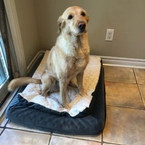 Meet your Posher, Mj